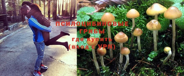 a pvp Волоколамск