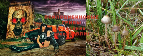 бошки Володарск