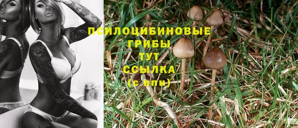 a pvp Волоколамск