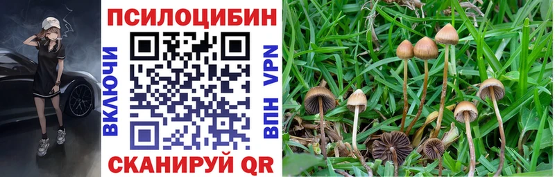shop какой сайт  Печоры  Галлюциногенные грибы мицелий  где купить  
